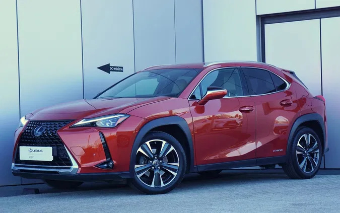 samochody osobowe Lexus UX cena 134900 przebieg: 43266, rok produkcji 2019 z Lublin